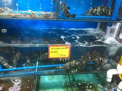 水产区-蚝专家(北滘店)