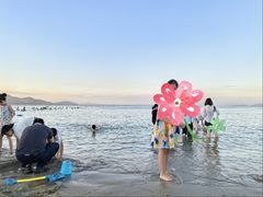 -汕尾风车岛