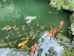 -新荣记(西溪湿地店)