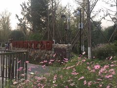 -回龙观体育文化公园