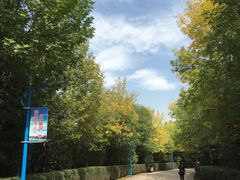 -森林公园(尖草坪区)