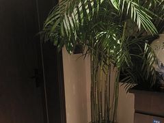 -城北食府(枫林店)