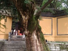 -无锡惠山寺