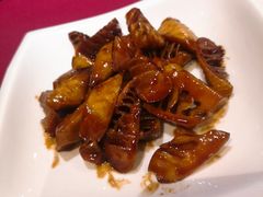 -老吉士酒家(天平路店)