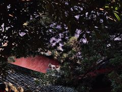 -成都市文殊院