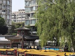 -皇家御河游(紫御湾码头)