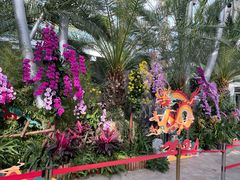 -北京植物园-展览温室