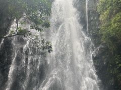 -马峦山郊野公园