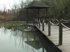 -溱湖国家湿地公园