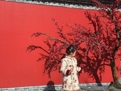 -西安华清御汤酒店