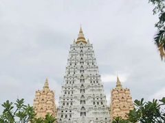 -七珍佛山