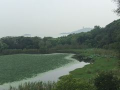 -上海市保健医疗中心(华东疗养院)