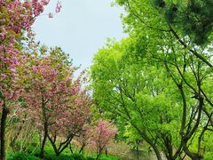 -北岭山森林公园