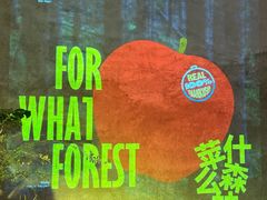 -三秋舍·梦幻岛(小西路店)