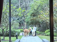 -南宁荔园维景国际酒店·荔园中餐厅