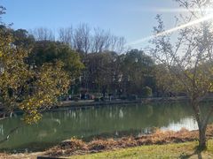 -昆山城市生态森林公园