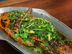 香辣炝锅鱼-树厨贵州菜(铜仁花果山店)