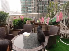-浣熊柯尔鸭土拨鼠·电玩咖