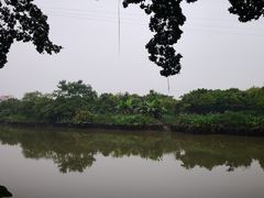 -小洲村