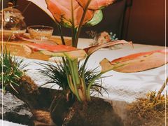 -叶叶菩提·晋福宫