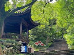 -宁波市保国寺古建筑博物馆