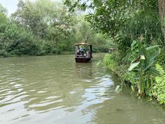 -溱湖国家湿地公园