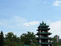 -桂湖森林公园