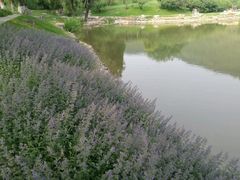 -北京宽沟会议中心