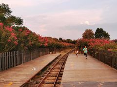 -武汉紫薇都市田园