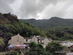 -雁南飞茶田景区