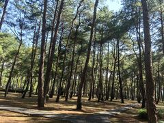 -Club Med地中海俱乐部·桂林度假村