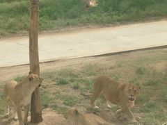 -西安秦岭野生动物园