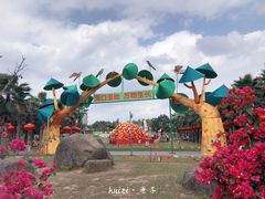 -万绿园
