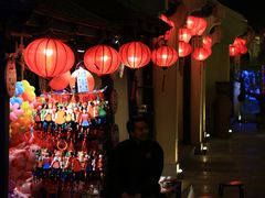 -河内西湖莲花自助餐厅
