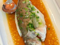 广式葱油海鲈鱼-醉辉皇原味海鲜江南菜(成都大魔方店)