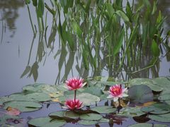 -白鹭湾湿地公园