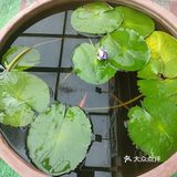 特色餐馆大揭秘