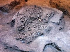 -侵华日军南京大屠杀遇难同胞纪念馆-停车场