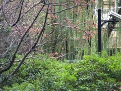 -上海市龙华烈士陵园