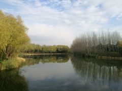 -昆山城市生态森林公园