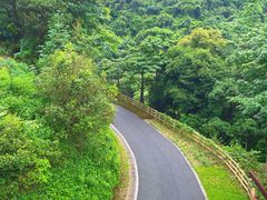 -阳台山森林公园