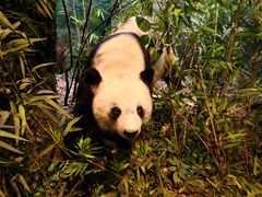 -陕西自然博物馆