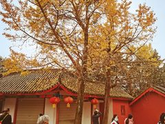 -金堂县云顶石城风景区