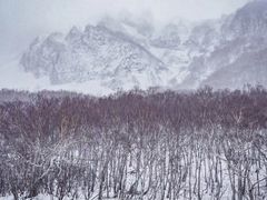 -长白山华美胜地滑雪场
