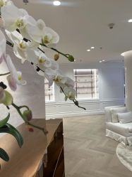 -in BEAUTY法国原液之谜