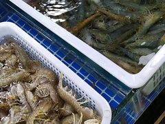 -呼和浩特市融桥商贸有限公司-停车场