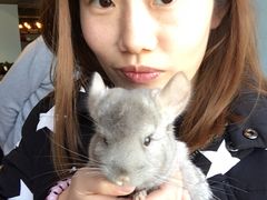 -藦茜花园宠物主题亲子互动体验馆(国顺东路店)