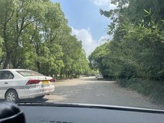 -胜华驾校·小猫学车(银都店)