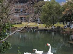 -宁波九龙湖开元度假村
