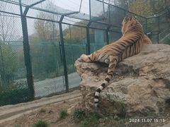 -栾川竹海野生动物园